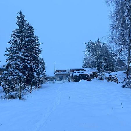 Ferienwohnung Classen Eifel Шлайден Екстериор снимка