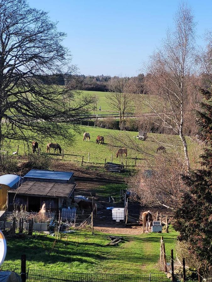 Ferienwohnung Classen Eifel Шлайден Екстериор снимка