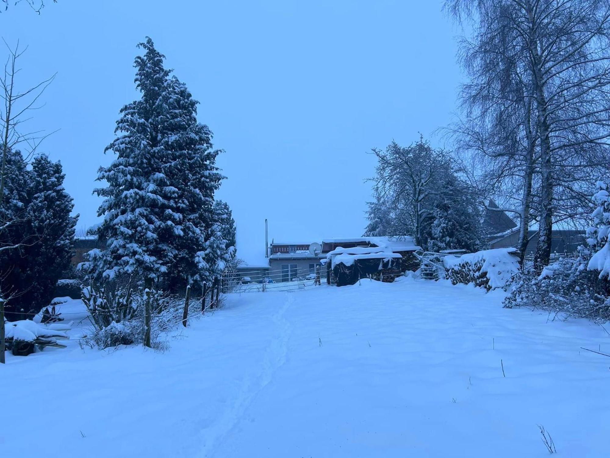 Ferienwohnung Classen Eifel Шлайден Екстериор снимка